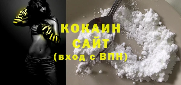 молекула духа Балахна