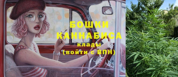 молекула духа Балахна
