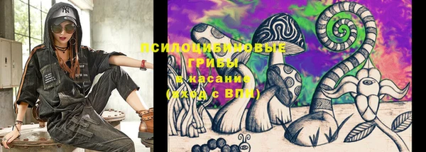 молекула духа Балахна