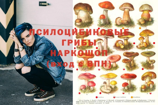 марки lsd Балабаново