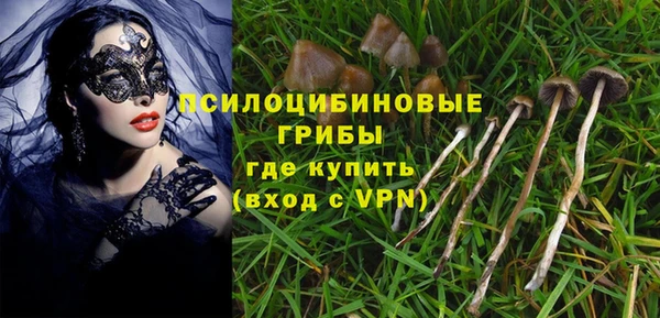 молекула духа Балахна